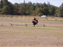 IMG_8490_web